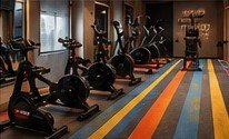 Spin bikes in the completed gym